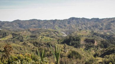 Foto: Ministerio de Agricultura
