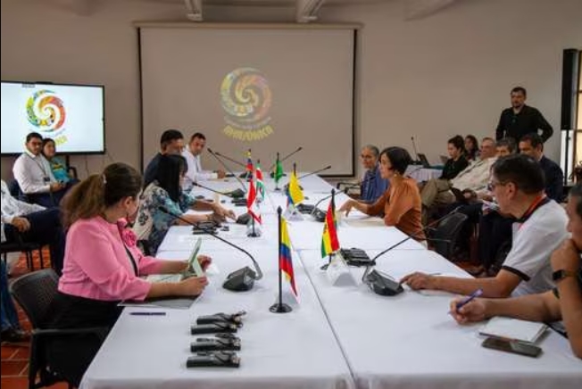 Vision Conjunta Plan estratégico y visión conjunta de la Amazonía, propuesta de ...